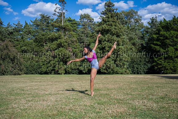 DSC_8731