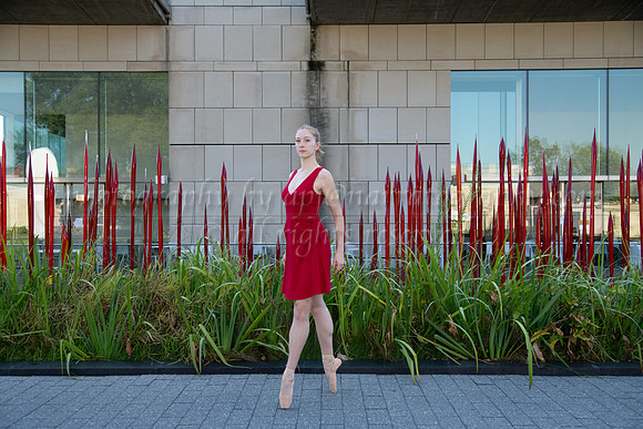 DSC_0661