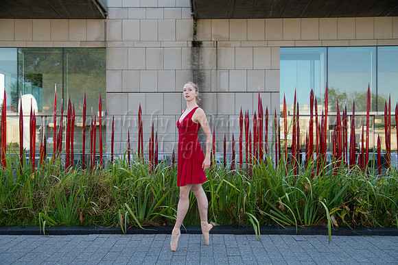 DSC_0662
