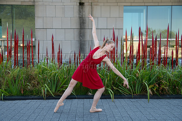 DSC_0666