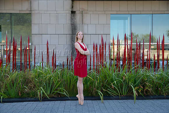 DSC_0677