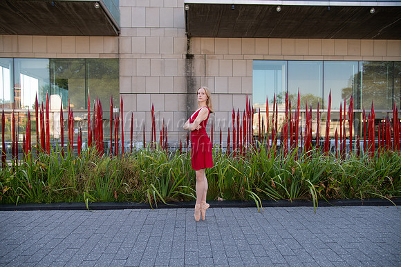 DSC_0687