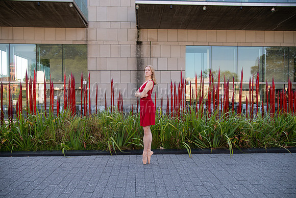 DSC_0688