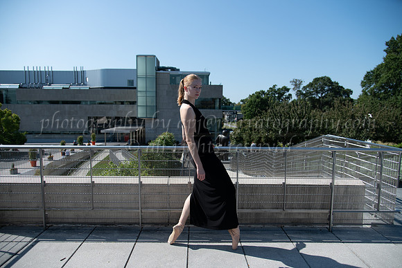 DSC_0785