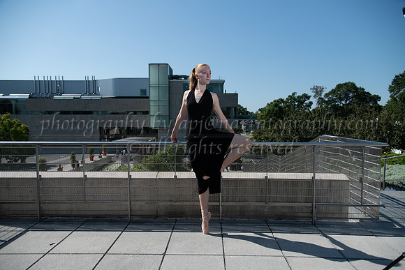 DSC_0804