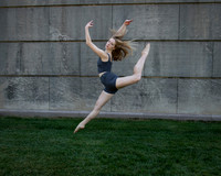 a DSC_0781b