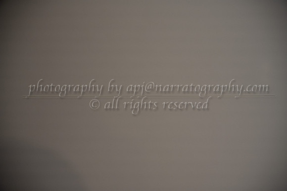 DSC_0946