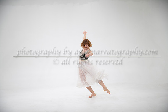 abr-0173