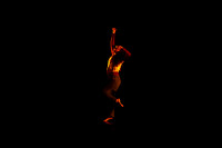 1 - a light too bright to keep - E Hardesty