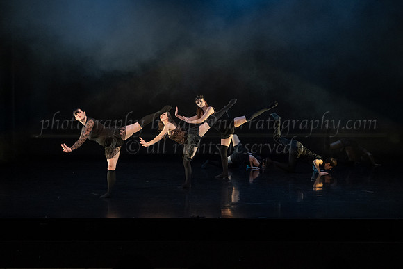 2 DSC_2113