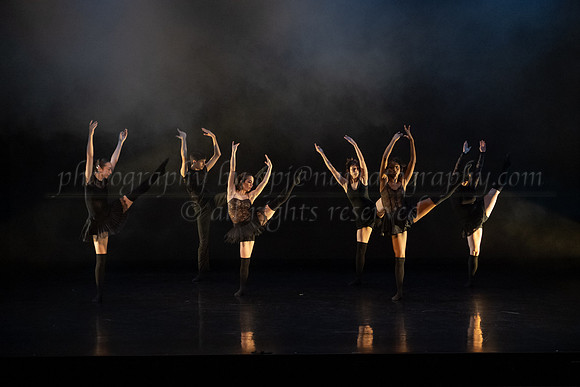 2 DSC_2115