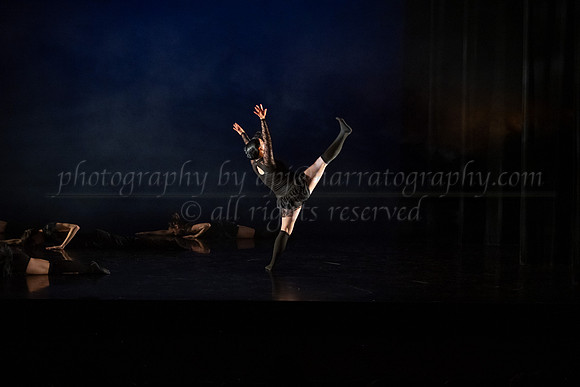 2 DSC_2136