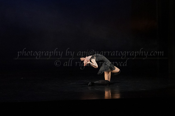 2 DSC_2146