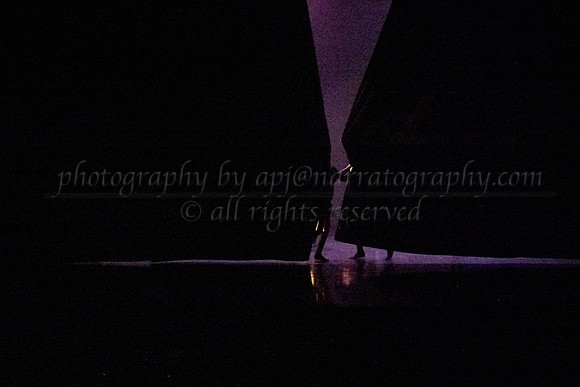 2 DSC_2169