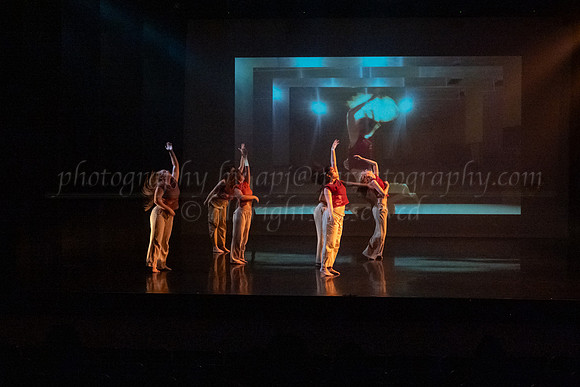 3 DSC_2184