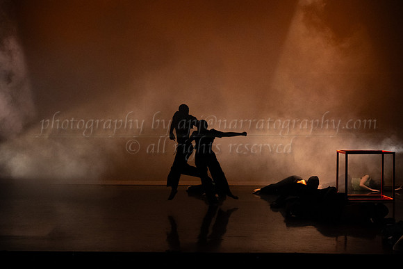 7 DSC_2511