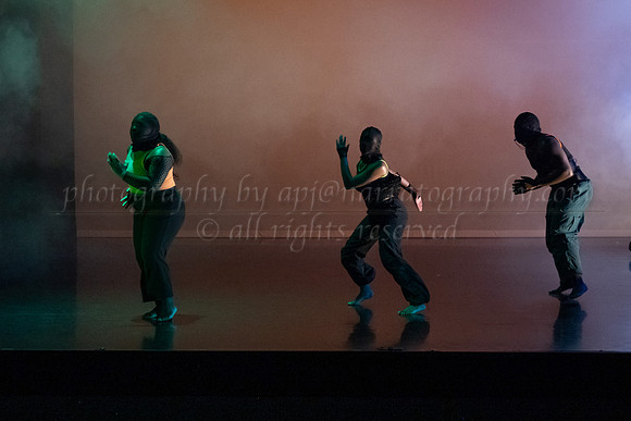 7 DSC_2517