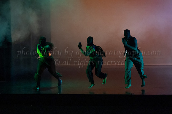 7 DSC_2518