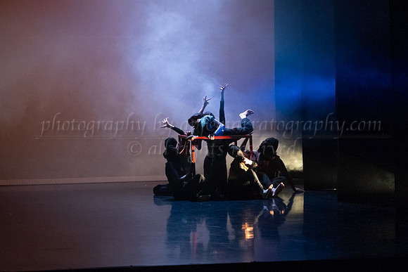 7 DSC_2519