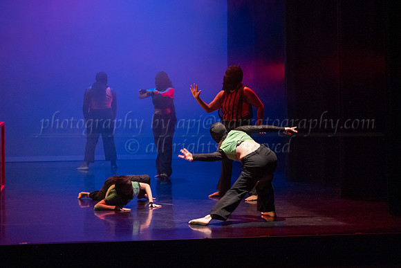 7 DSC_2534