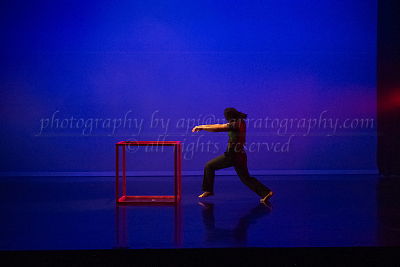 7 DSC_2538