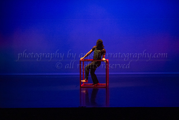 7 DSC_2539