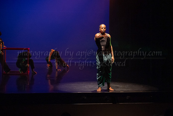 7 DSC_2551