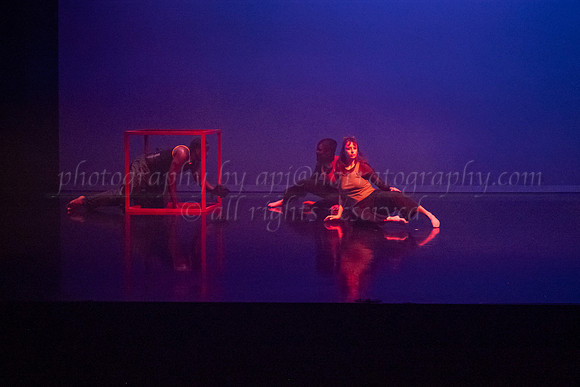 7 DSC_2565