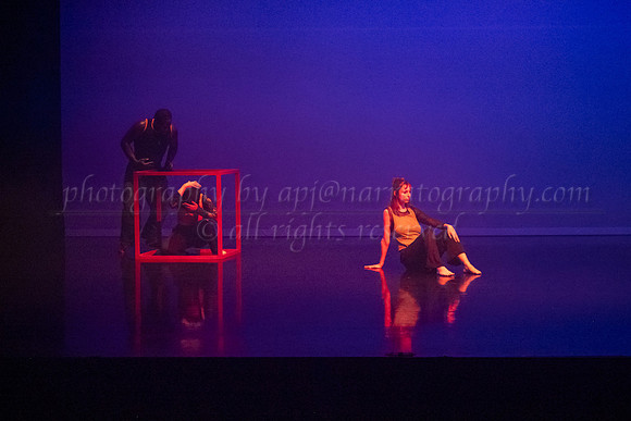 7 DSC_2564
