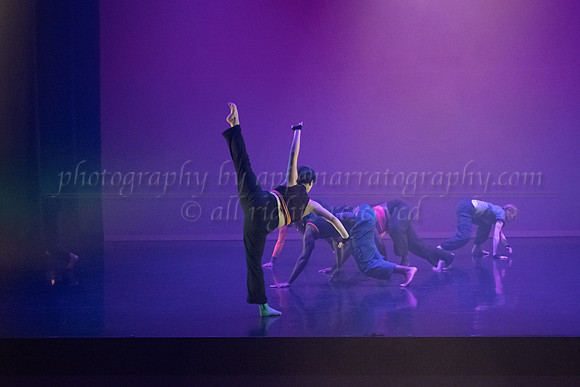 7 DSC_2593
