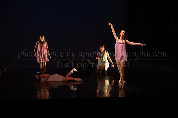 6 DSC_2438