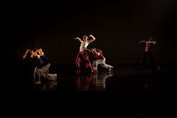 5 DSC_2365