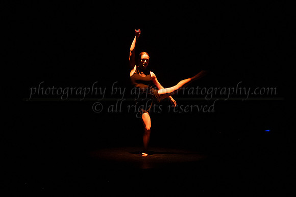 4 DSC_2238