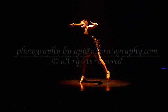 4 DSC_2244