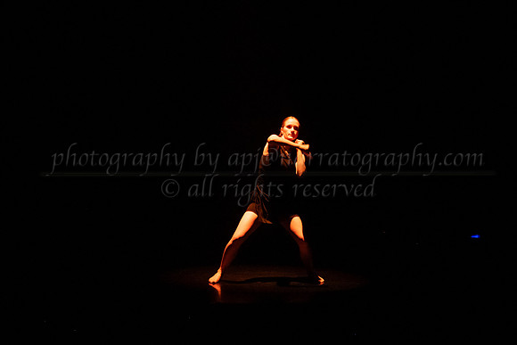 4 DSC_2239