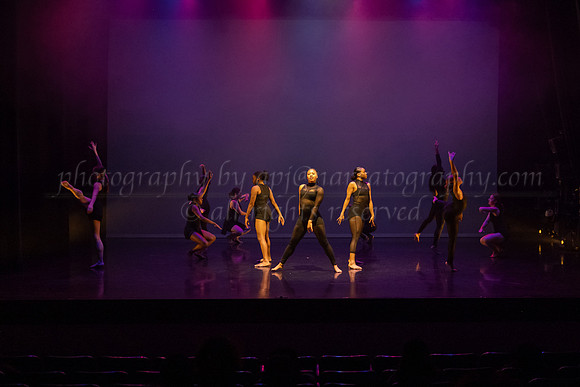 4 DSC_2295
