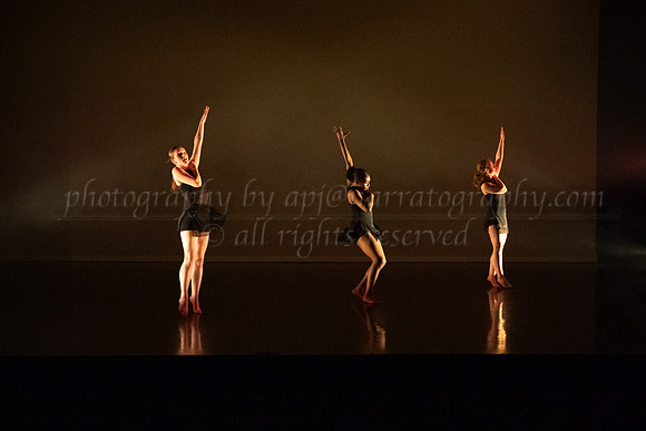 4 DSC_2312
