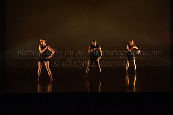 4 DSC_2311