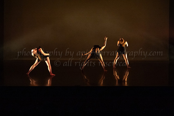 4 DSC_2313
