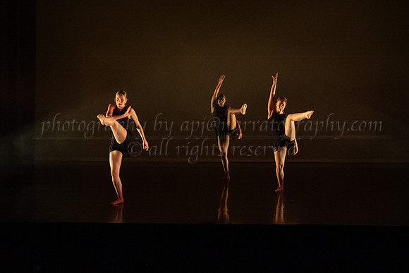 4 DSC_2316