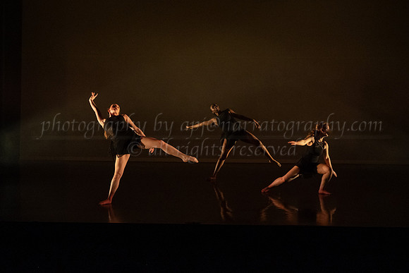 4 DSC_2317