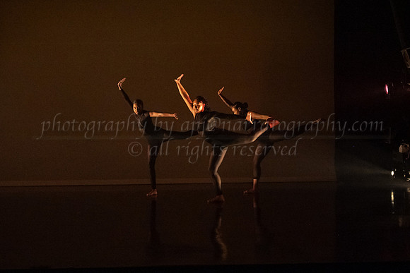 4 DSC_2329