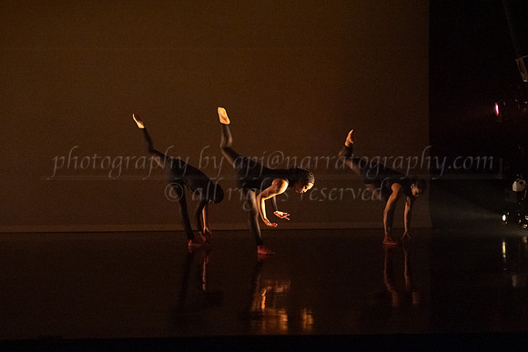 4 DSC_2330