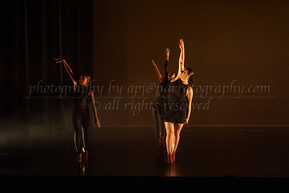 4 DSC_2331