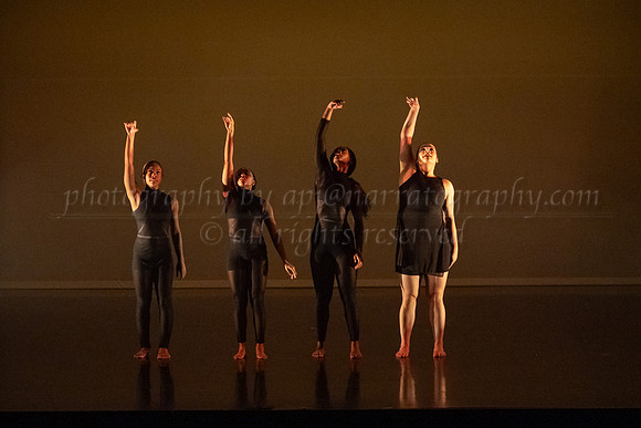 4 DSC_2335