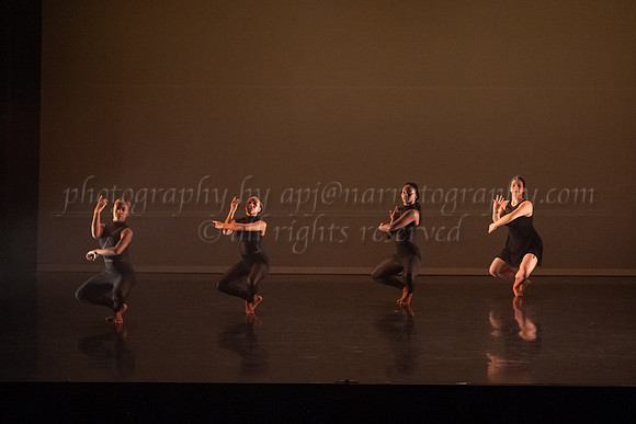 4 DSC_2338