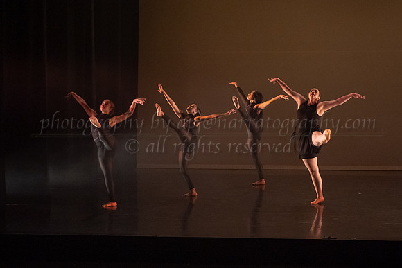 4 DSC_2339