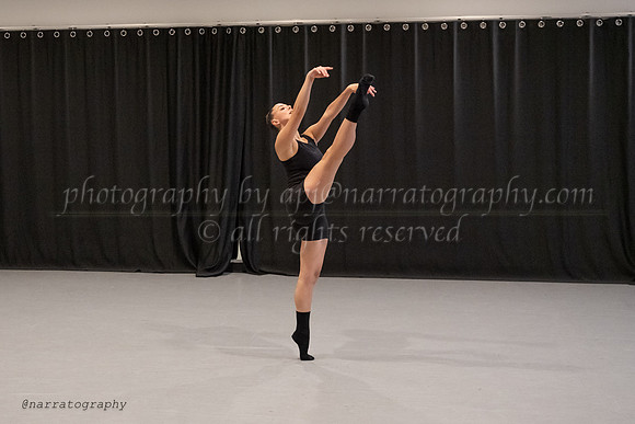 DSC_3096