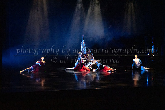 6 dsc_5052