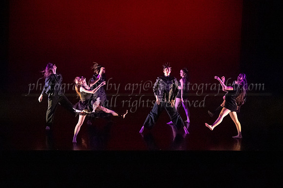 7 dsc_5231